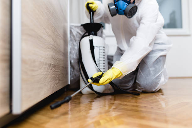 Best Bed Bug Extermination  in Country Clu, CA