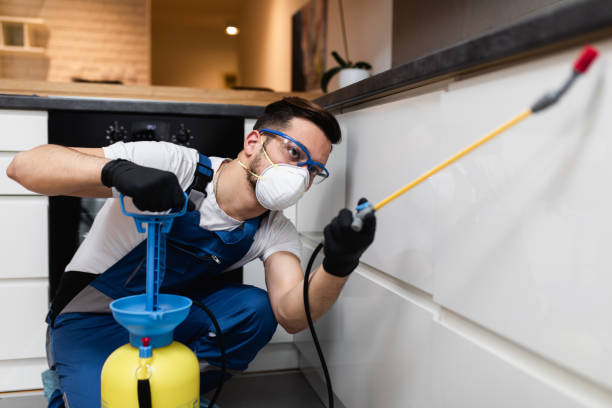 Best Mosquito Control Services  in Country Clu, CA