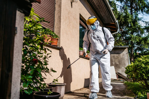 Best Termite Control Services  in Country Clu, CA