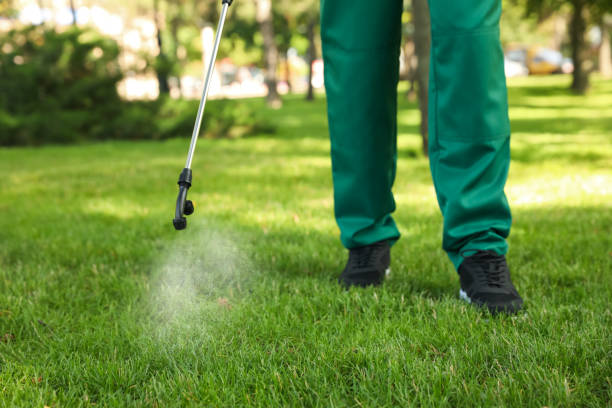 Best Ant Control Services  in Country Clu, CA