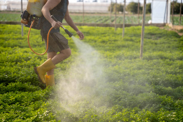 Best Pest Removal Services  in Country Clu, CA