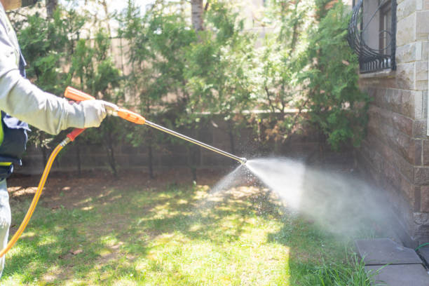Best Wildlife Control Services  in Country Clu, CA