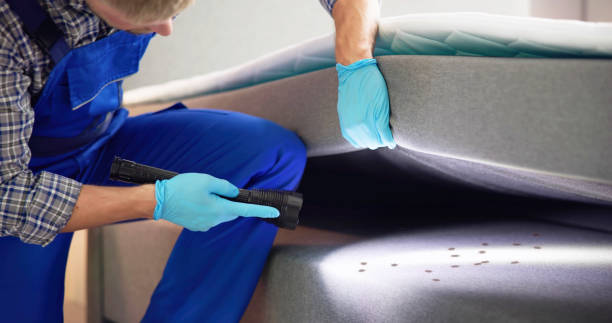 Best Flea Control Services  in Country Clu, CA