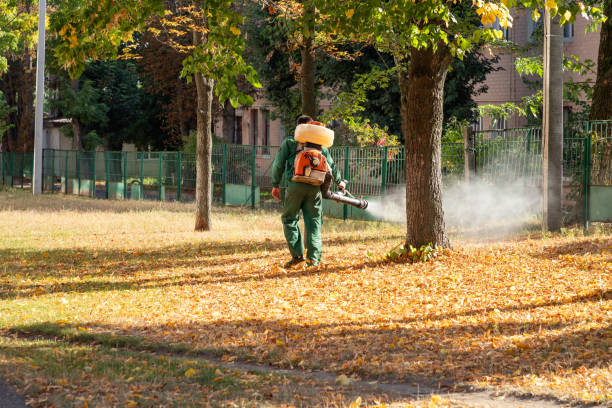 Best Local Pest Control Services  in Country Clu, CA