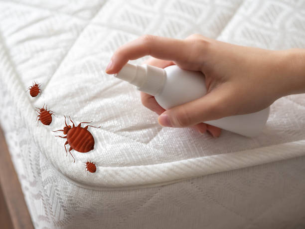 Best Best Pest Control Companies  in Country Clu, CA