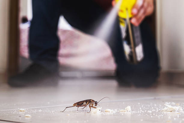 Best Pest Removal Services  in Country Clu, CA