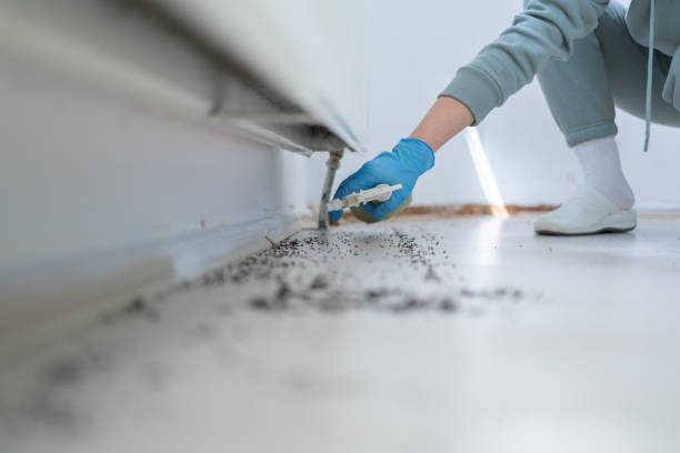 Best Insect Control  in Country Clu, CA