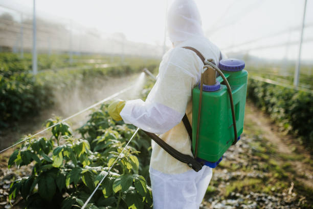 Best Pest Control Near Me  in Country Clu, CA
